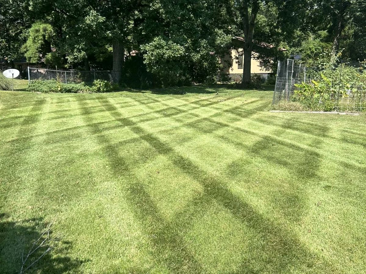 Striped back lawn &mdash; Cape Girardeau, MO
