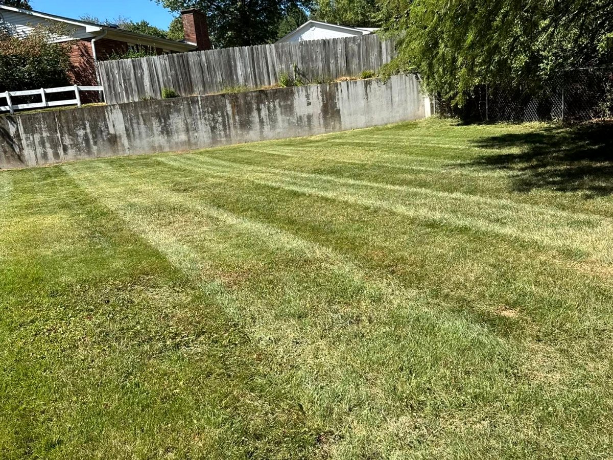Fenced yard, clean stripes &mdash; Cape Girardeau, MO